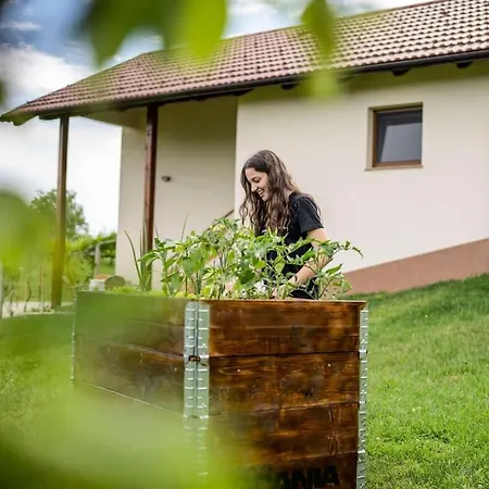 House Zlacka Gorca *